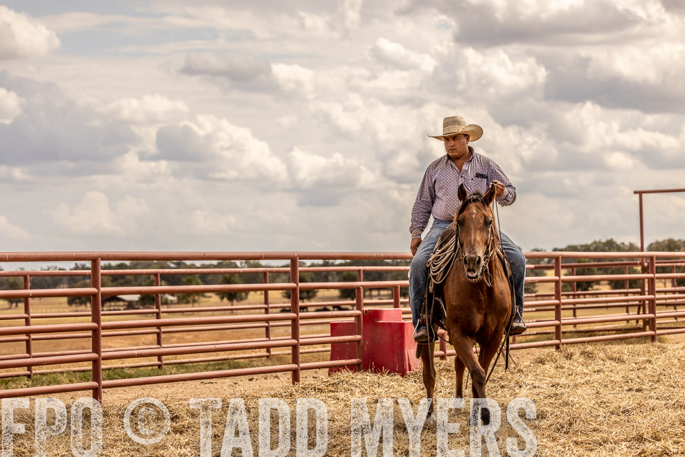 TMyers_SaleBookCover_CameronTX_Sept2021-528755