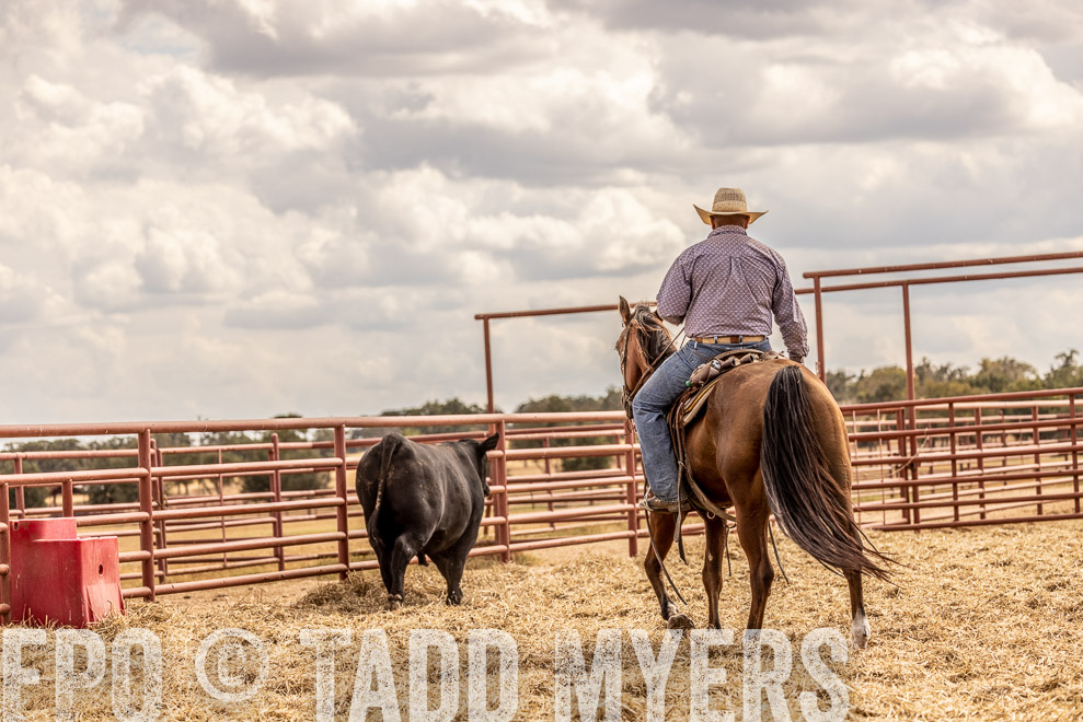 TMyers_SaleBookCover_CameronTX_Sept2021-528769