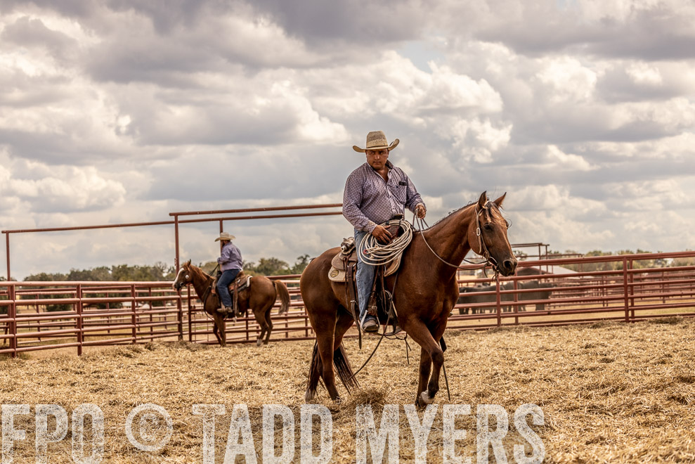 TMyers_SaleBookCover_CameronTX_Sept2021-528828