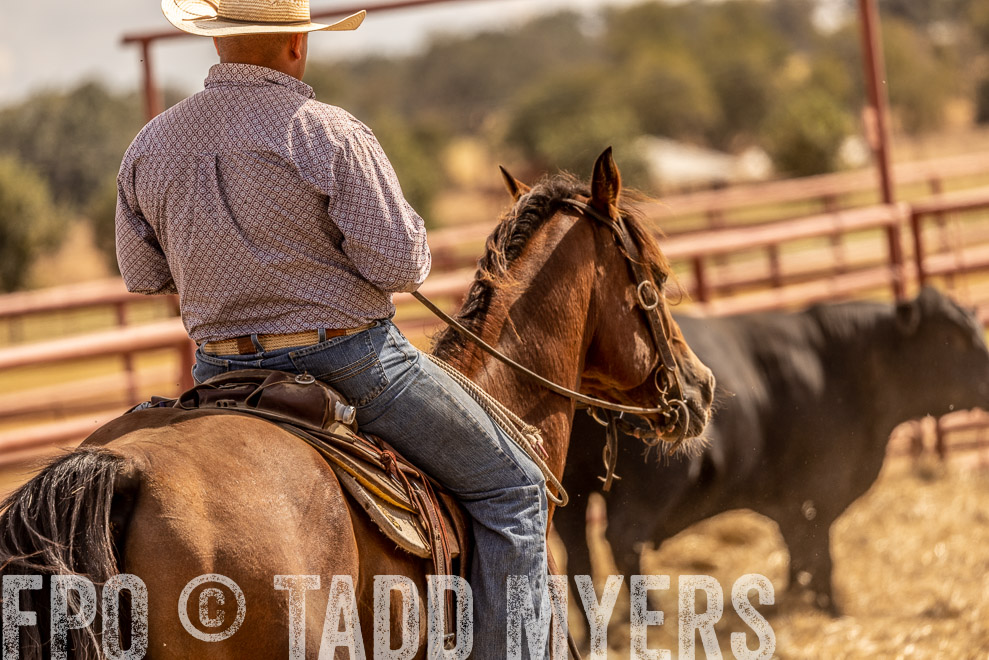 TMyers_SaleBookCover_CameronTX_Sept2021-528841