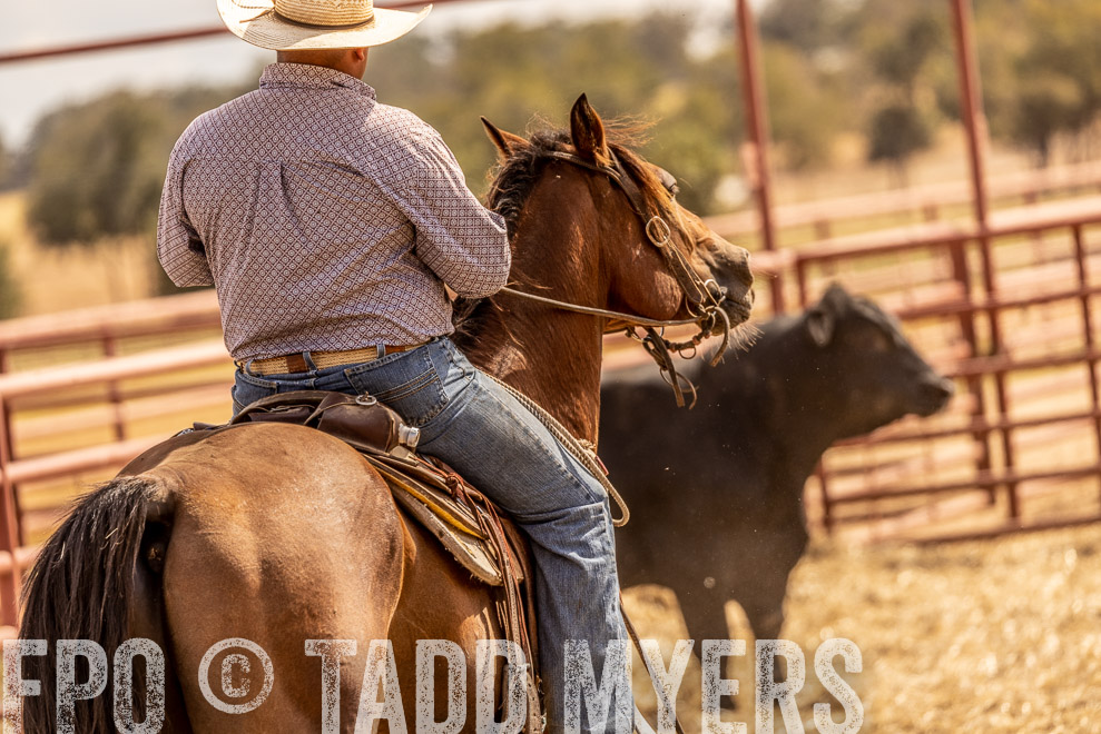 TMyers_SaleBookCover_CameronTX_Sept2021-528843