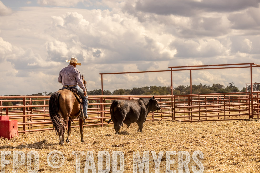 TMyers_SaleBookCover_CameronTX_Sept2021-528920
