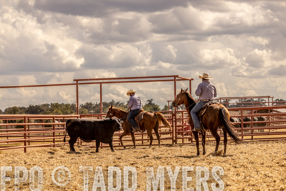 TMyers_SaleBookCover_CameronTX_Sept2021-528932