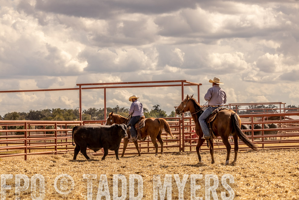 TMyers_SaleBookCover_CameronTX_Sept2021-528933