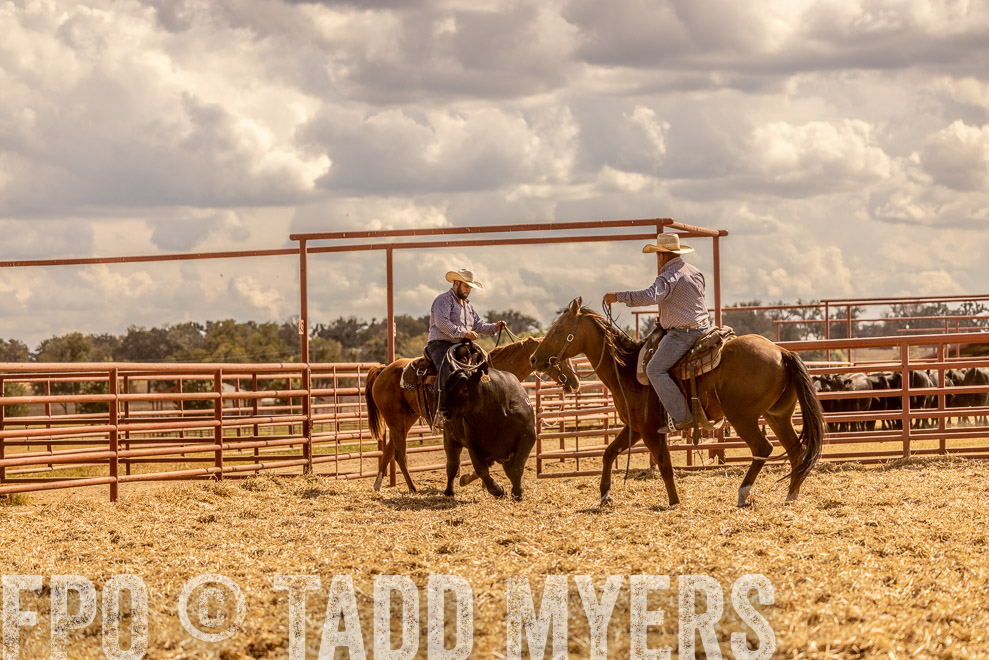 TMyers_SaleBookCover_CameronTX_Sept2021-528939