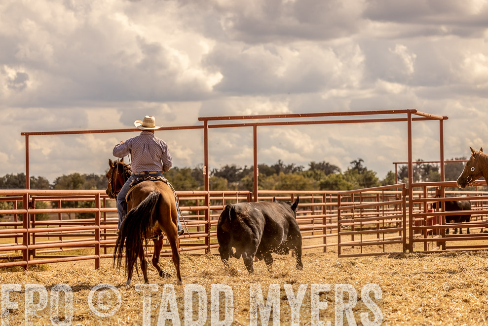 TMyers_SaleBookCover_CameronTX_Sept2021-528949