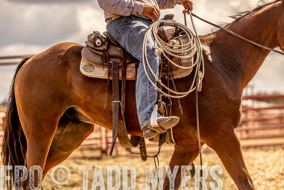 TMyers_SaleBookCover_CameronTX_Sept2021-528992