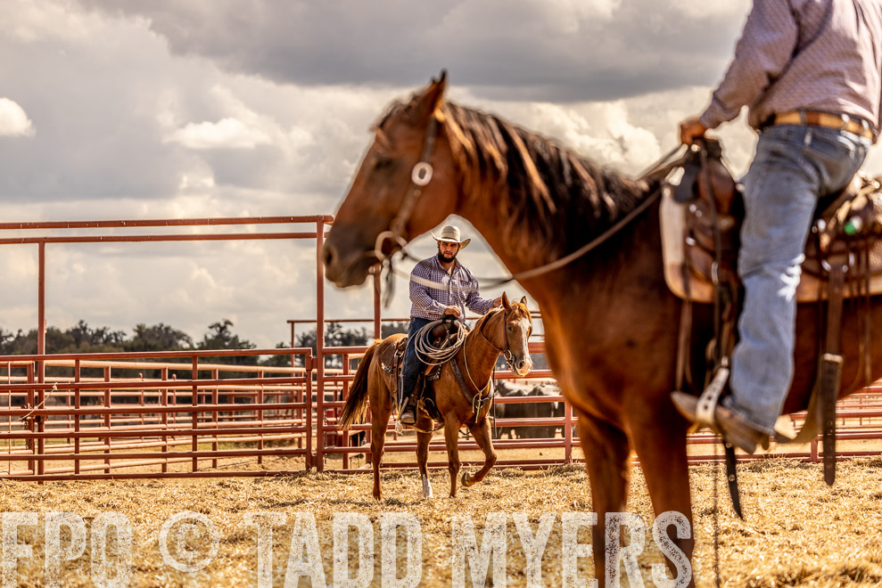 TMyers_SaleBookCover_CameronTX_Sept2021-529051