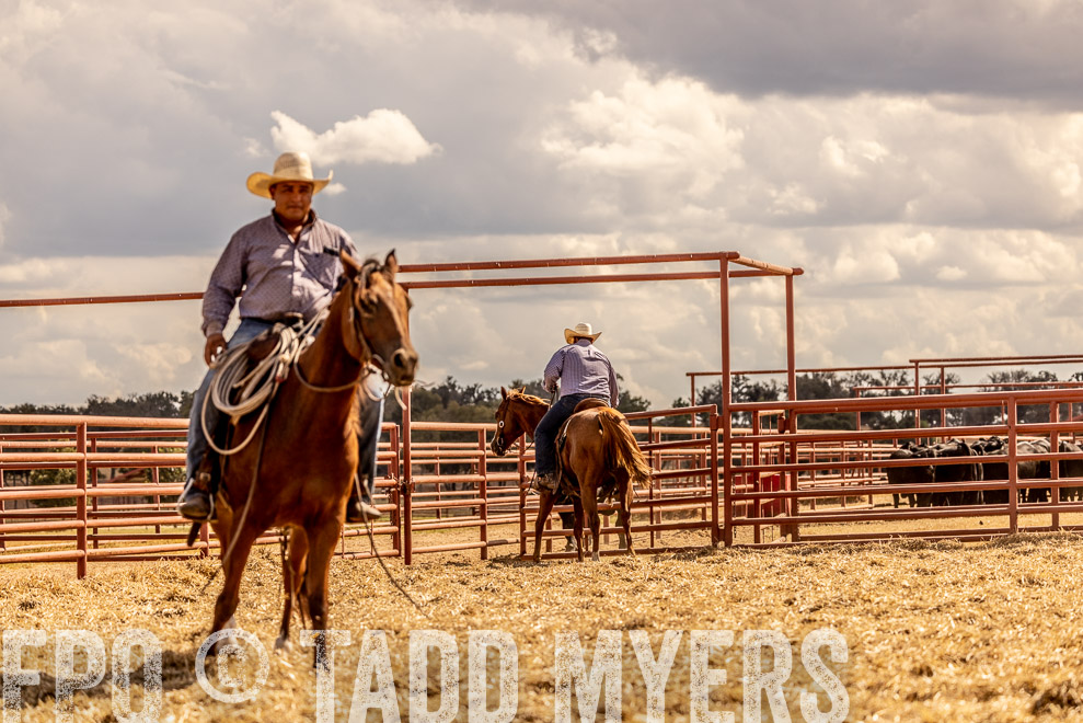 TMyers_SaleBookCover_CameronTX_Sept2021-529071