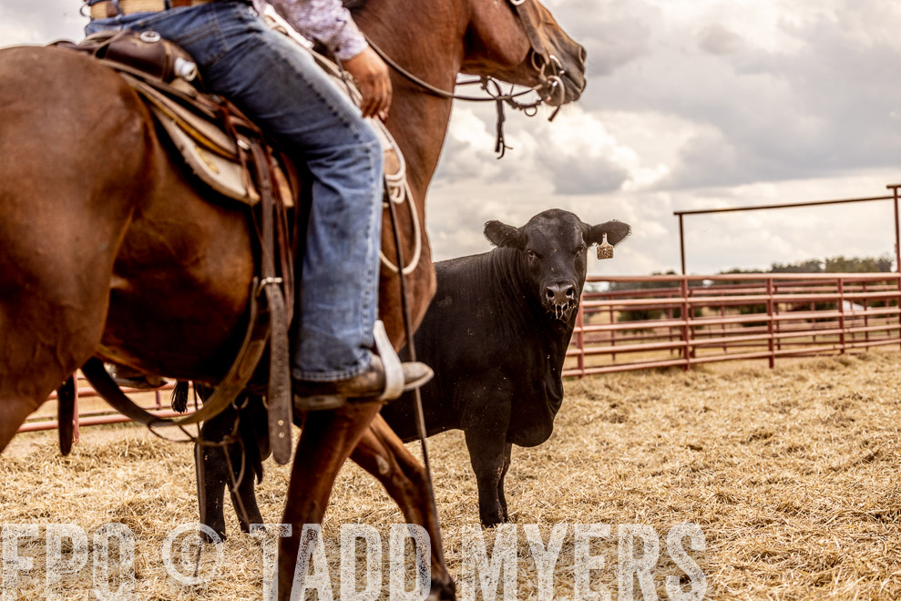 TMyers_SaleBookCover_CameronTX_Sept2021-529103