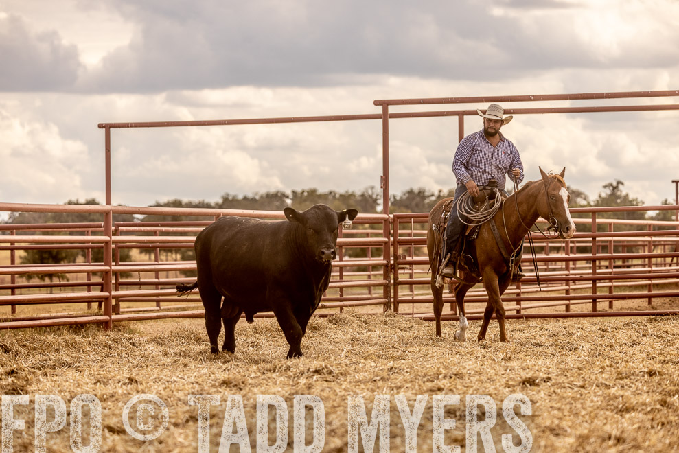 TMyers_SaleBookCover_CameronTX_Sept2021-529141