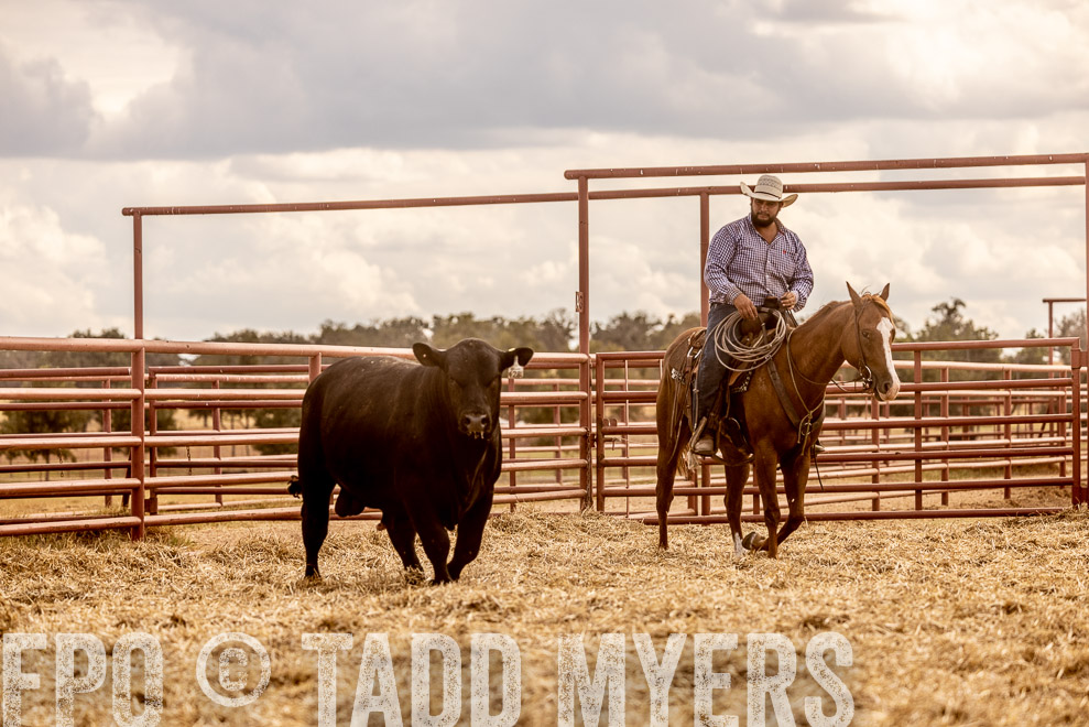 TMyers_SaleBookCover_CameronTX_Sept2021-529142