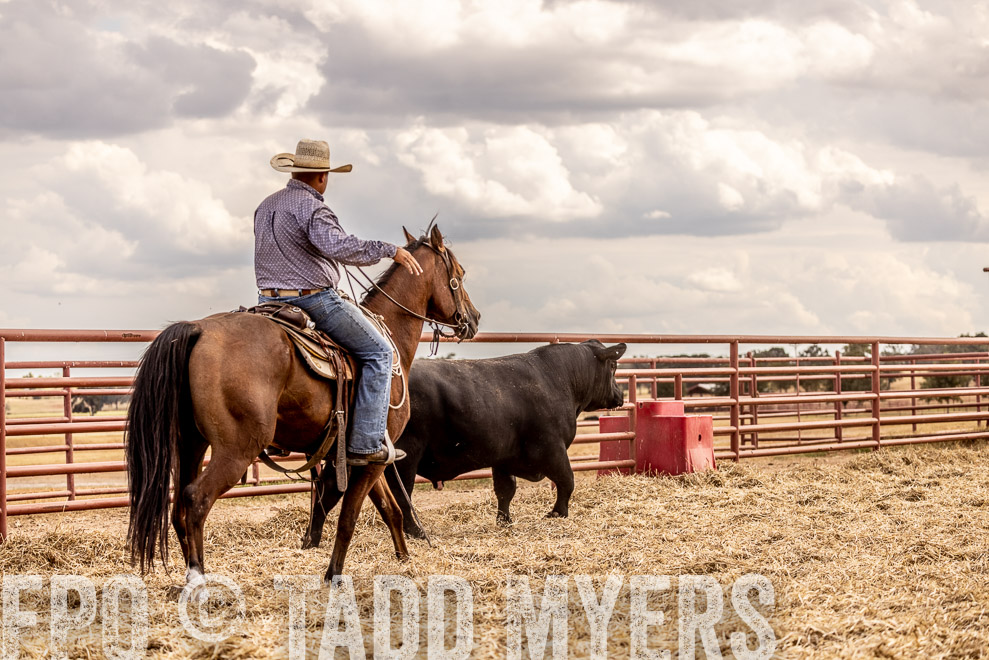 TMyers_SaleBookCover_CameronTX_Sept2021-529149