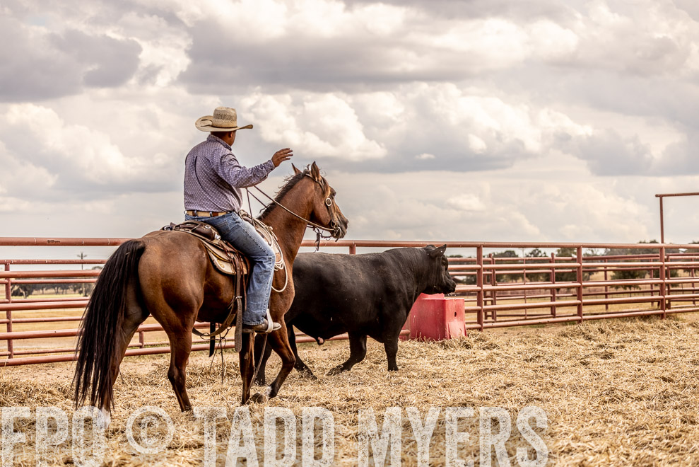 TMyers_SaleBookCover_CameronTX_Sept2021-529151