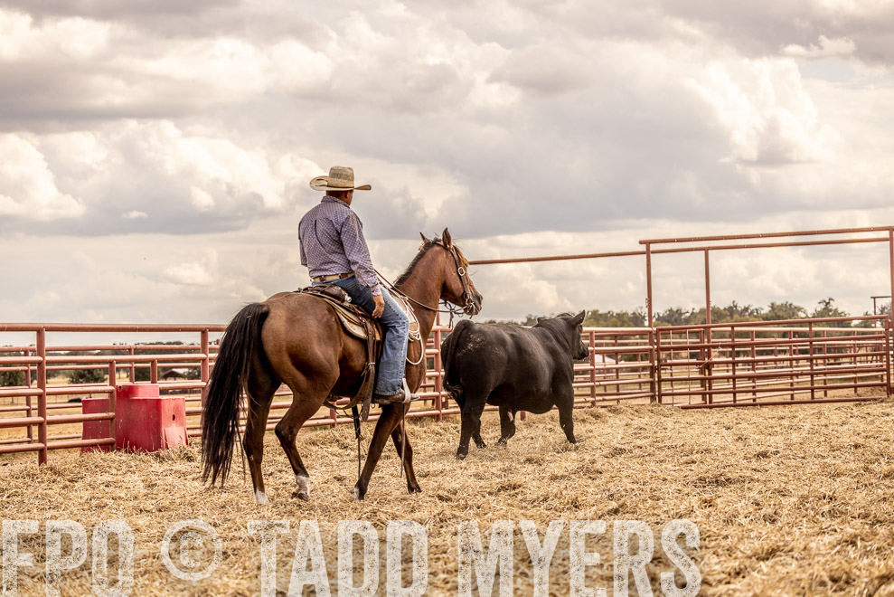 TMyers_SaleBookCover_CameronTX_Sept2021-529156