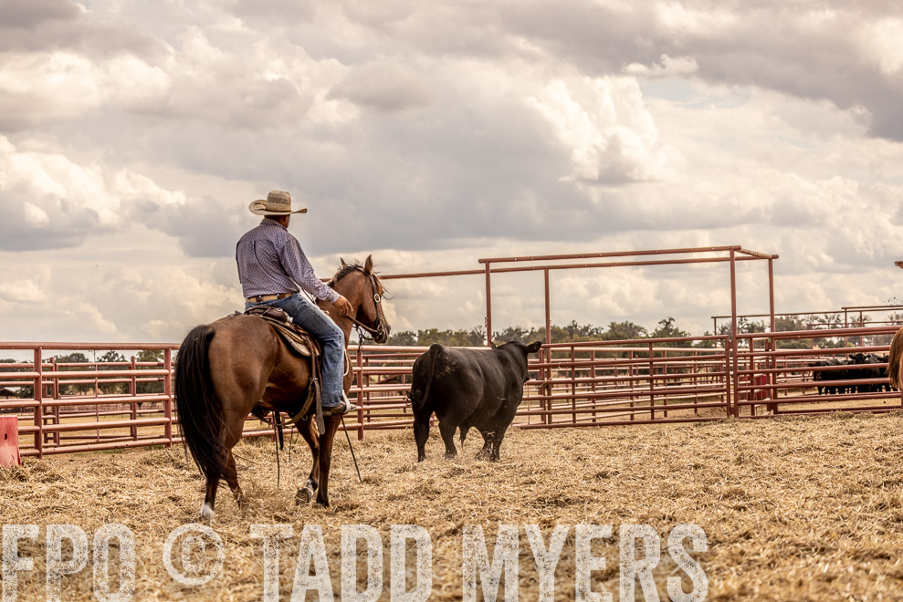 TMyers_SaleBookCover_CameronTX_Sept2021-529158