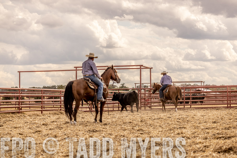 TMyers_SaleBookCover_CameronTX_Sept2021-529164