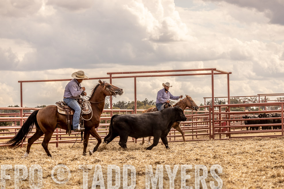 TMyers_SaleBookCover_CameronTX_Sept2021-529174