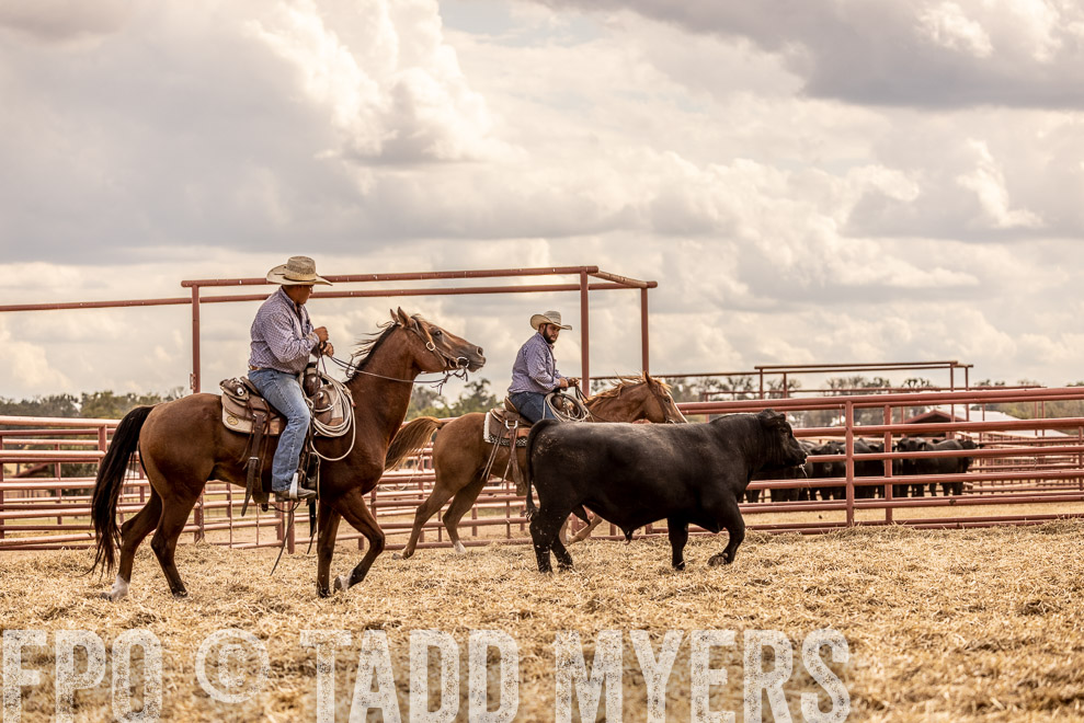 TMyers_SaleBookCover_CameronTX_Sept2021-529177