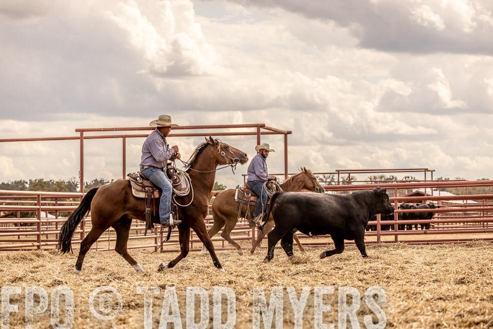 TMyers_SaleBookCover_CameronTX_Sept2021-529178