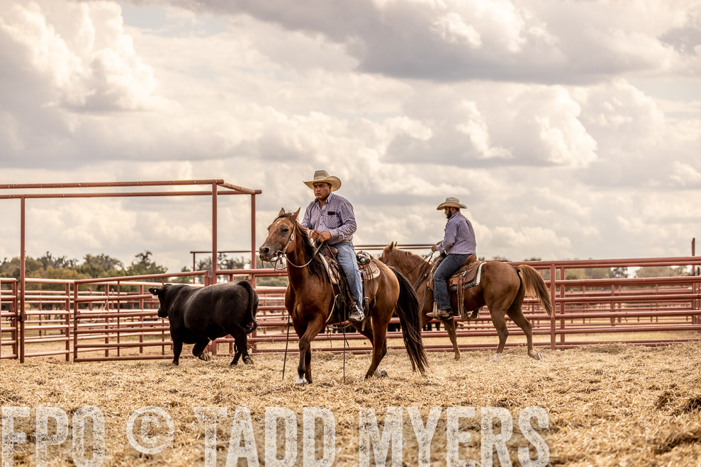 TMyers_SaleBookCover_CameronTX_Sept2021-529181