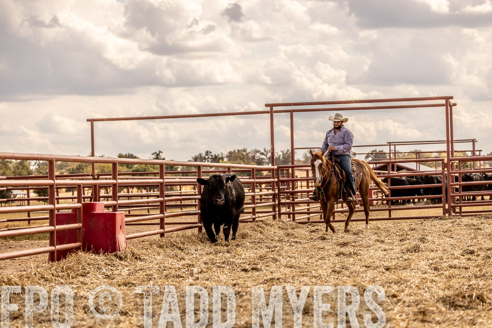 TMyers_SaleBookCover_CameronTX_Sept2021-529204