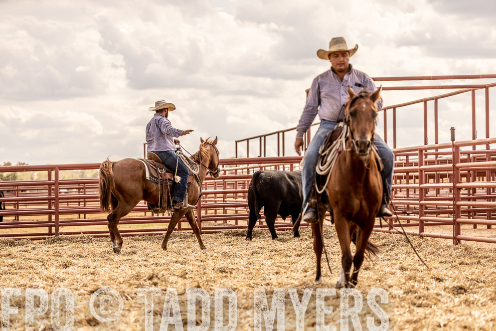 TMyers_SaleBookCover_CameronTX_Sept2021-529227