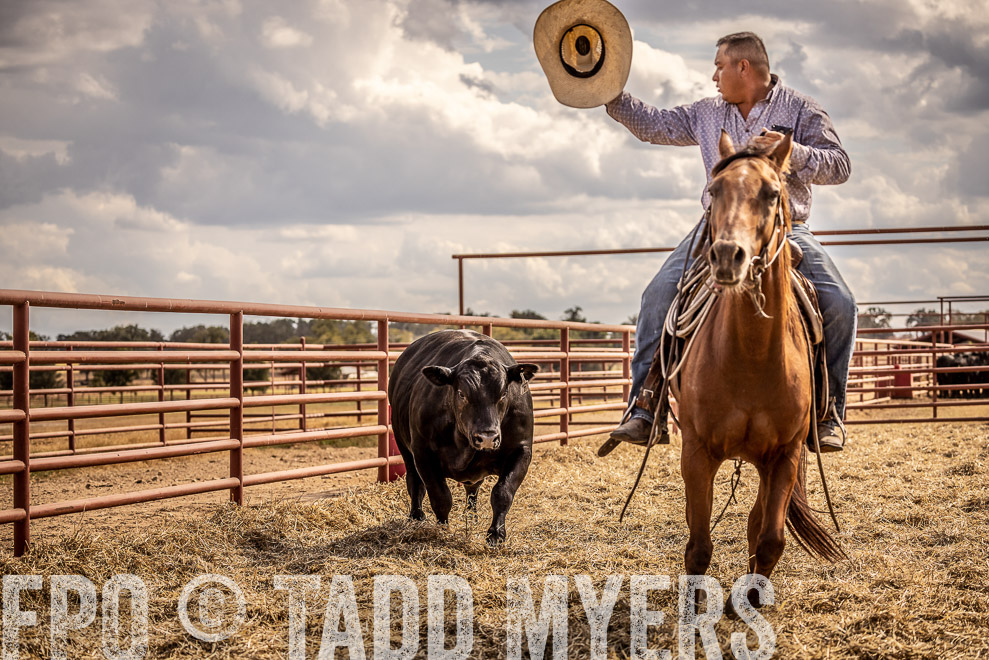 TMyers_SaleBookCover_CameronTX_Sept2021-529245-Edit