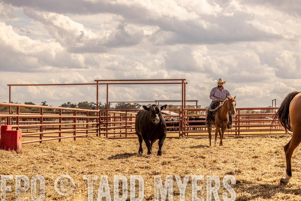 TMyers_SaleBookCover_CameronTX_Sept2021-529272
