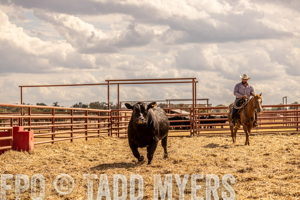 TMyers_SaleBookCover_CameronTX_Sept2021-529273