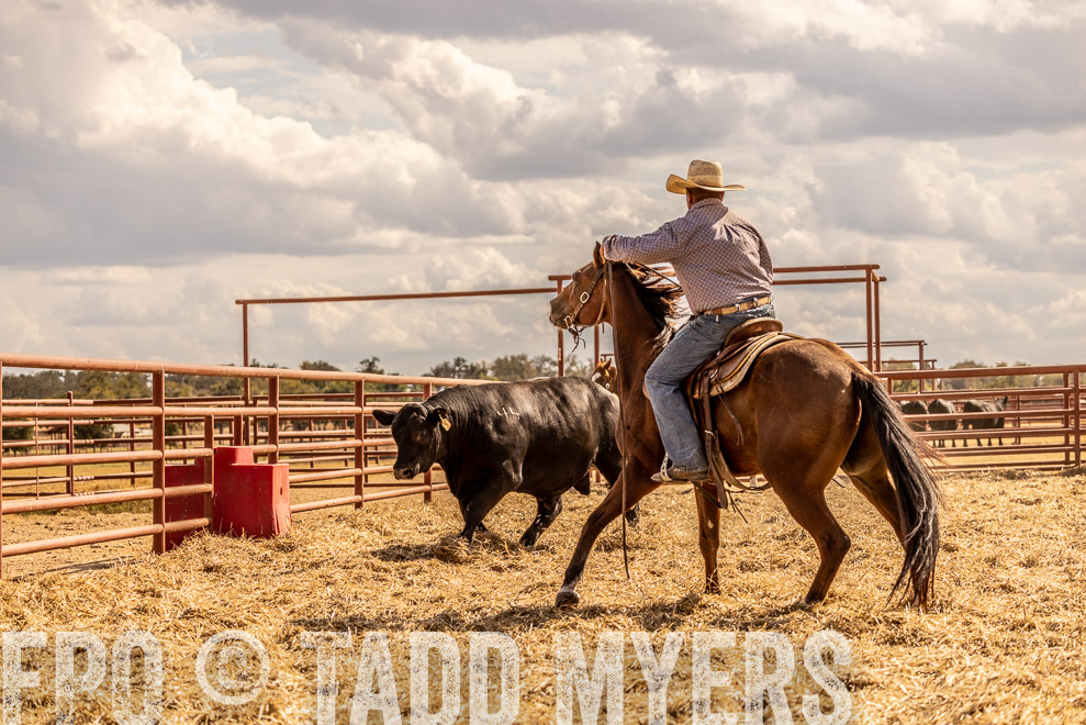 TMyers_SaleBookCover_CameronTX_Sept2021-529281
