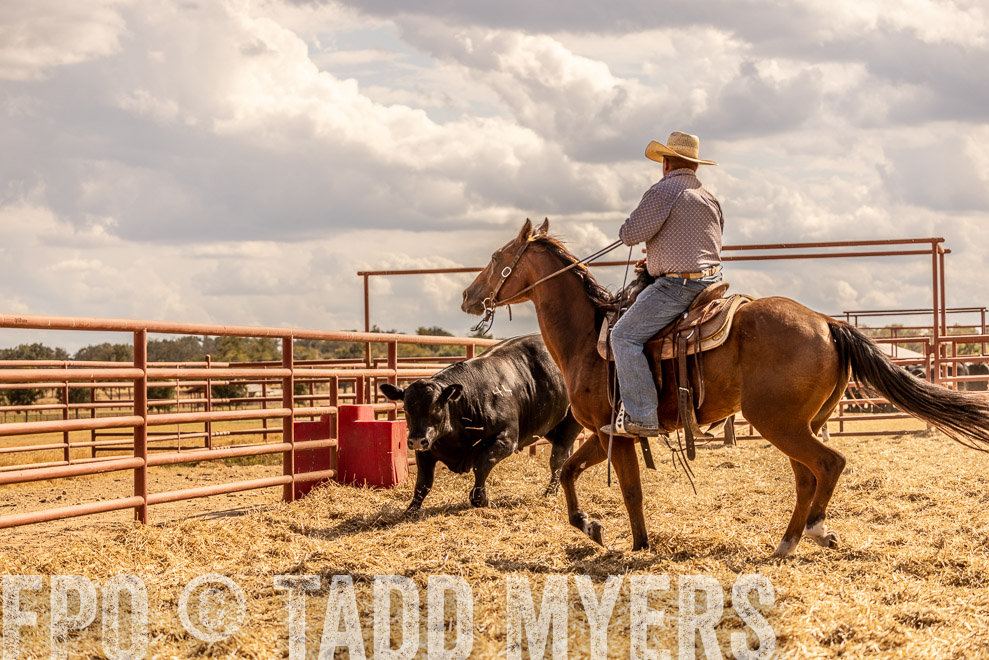 TMyers_SaleBookCover_CameronTX_Sept2021-529283