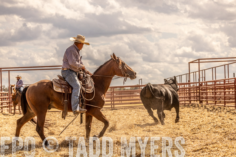 TMyers_SaleBookCover_CameronTX_Sept2021-529294