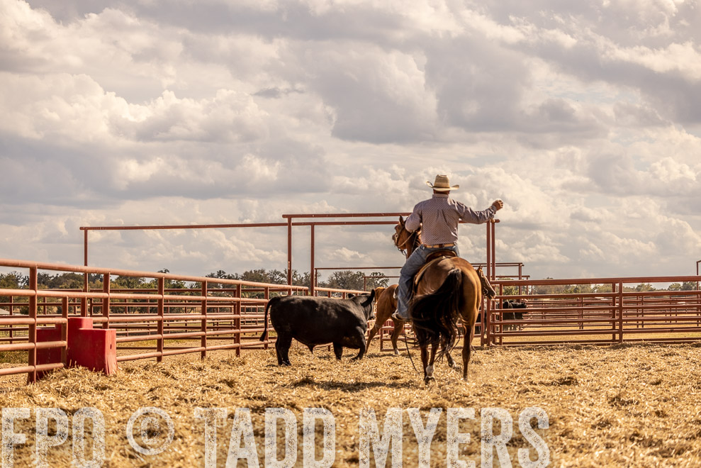 TMyers_SaleBookCover_CameronTX_Sept2021-529322