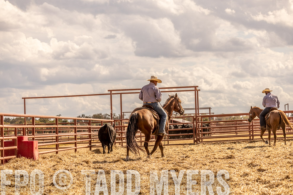 TMyers_SaleBookCover_CameronTX_Sept2021-529330
