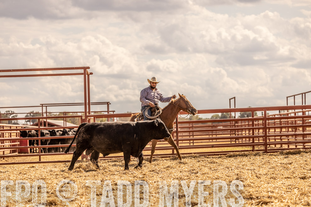 TMyers_SaleBookCover_CameronTX_Sept2021-529334