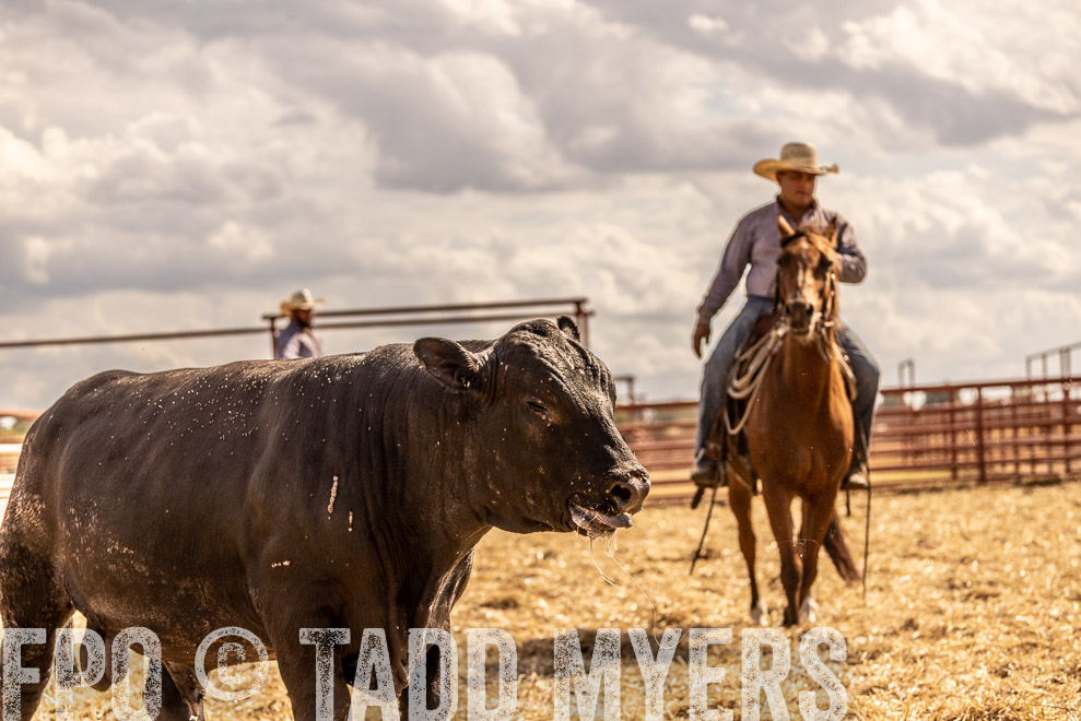 TMyers_SaleBookCover_CameronTX_Sept2021-529352