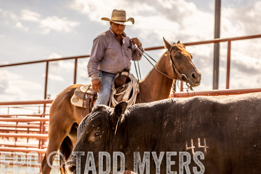 TMyers_SaleBookCover_CameronTX_Sept2021-529363