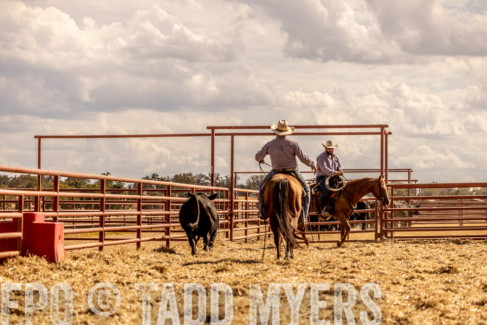 TMyers_SaleBookCover_CameronTX_Sept2021-529371