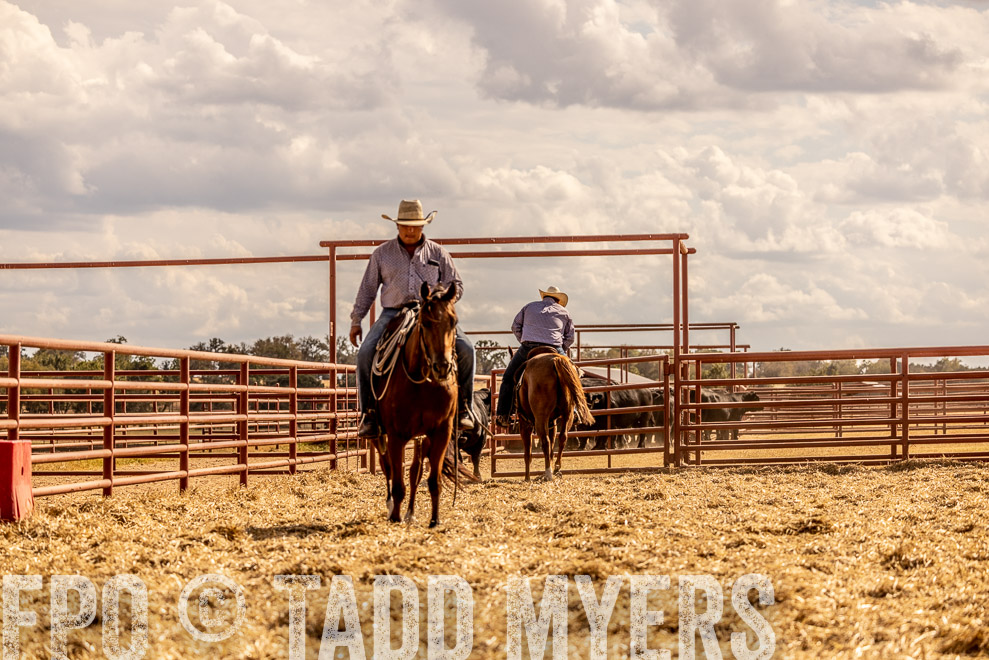 TMyers_SaleBookCover_CameronTX_Sept2021-529382