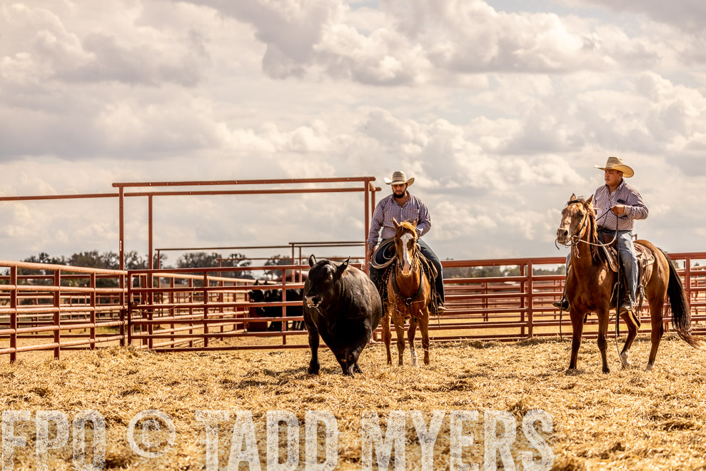 TMyers_SaleBookCover_CameronTX_Sept2021-529387