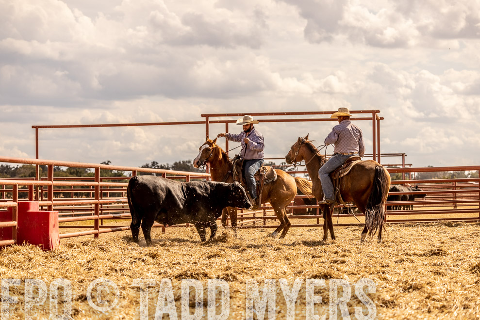 TMyers_SaleBookCover_CameronTX_Sept2021-529390