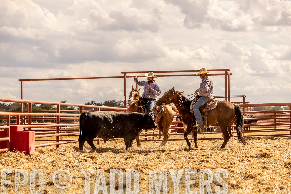 TMyers_SaleBookCover_CameronTX_Sept2021-529392