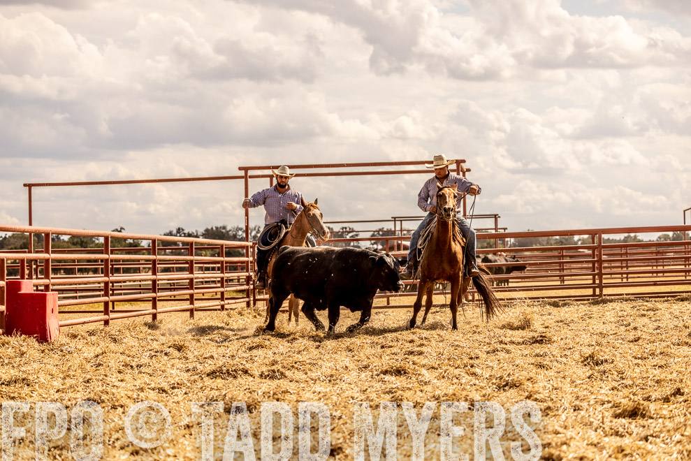 TMyers_SaleBookCover_CameronTX_Sept2021-529395