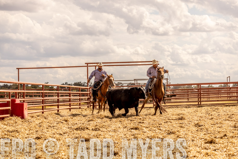 TMyers_SaleBookCover_CameronTX_Sept2021-529396