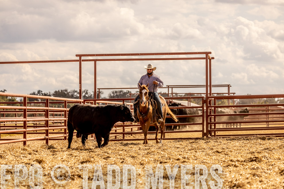 TMyers_SaleBookCover_CameronTX_Sept2021-529423