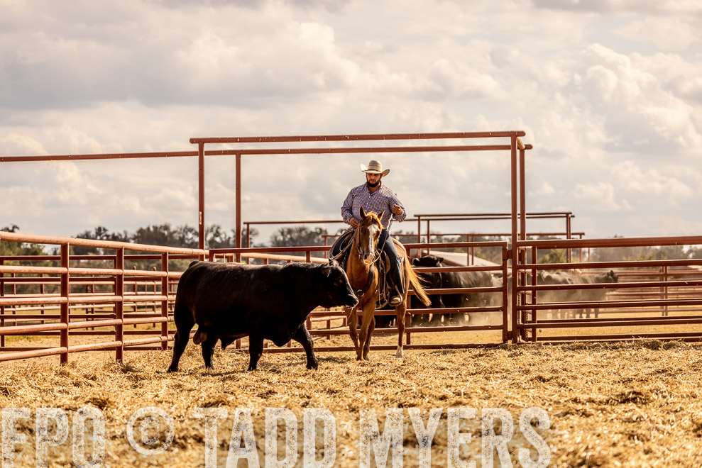 TMyers_SaleBookCover_CameronTX_Sept2021-529424