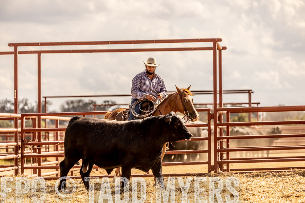 TMyers_SaleBookCover_CameronTX_Sept2021-529426