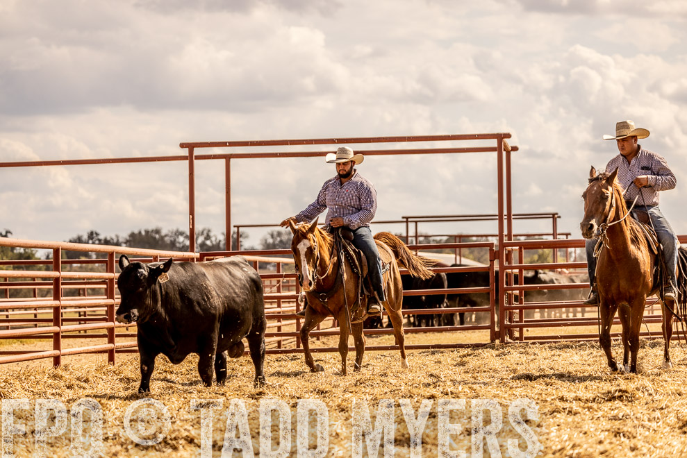 TMyers_SaleBookCover_CameronTX_Sept2021-529436