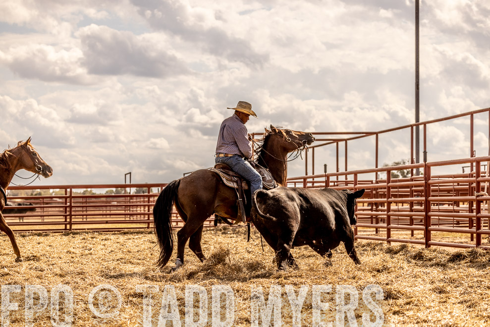 TMyers_SaleBookCover_CameronTX_Sept2021-529470